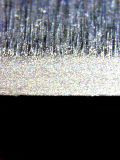 0BDC06A4-80AF-4433-8327-8B323CA0E461