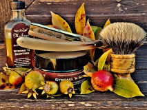SOTD 20231108
