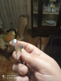 Dovoinox1