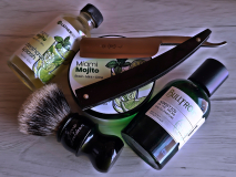 SOTD 20240610