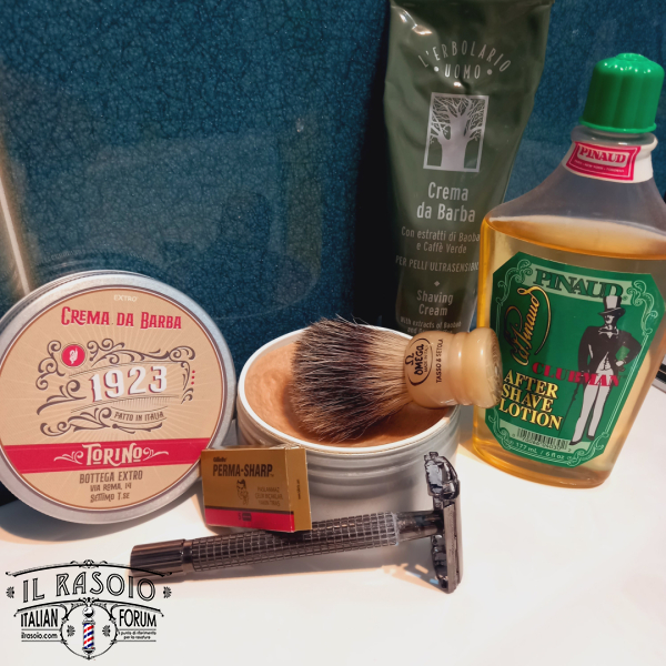 Sotd_20241119