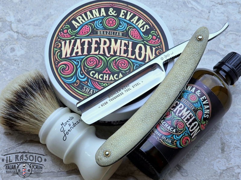 SOTD 20250528